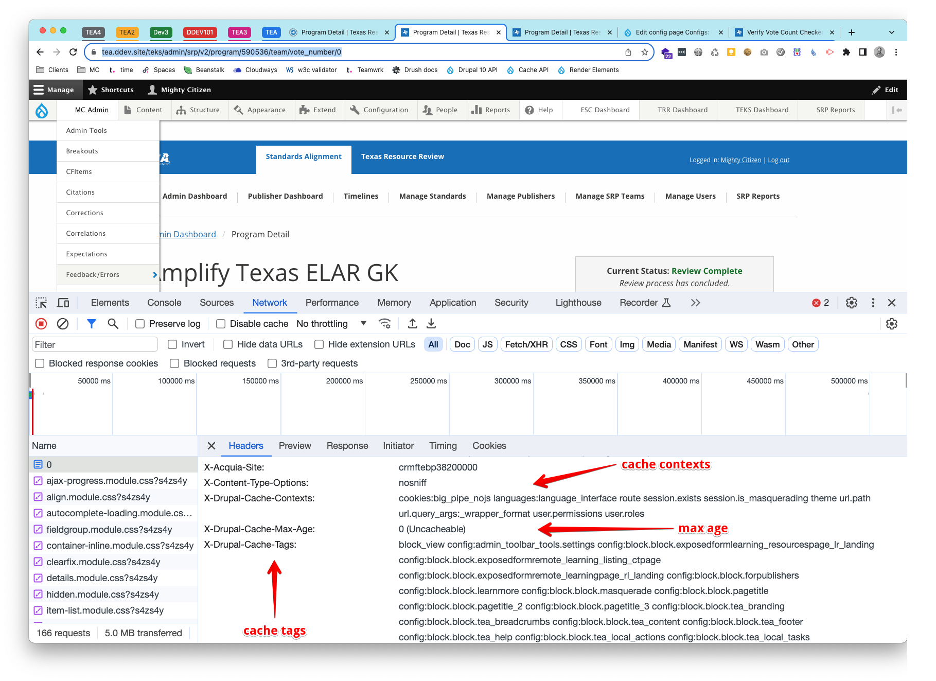 Debugging cache tags